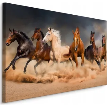 Obraz Nástěnný obraz cválající koně Na Poušti 3D 70x50