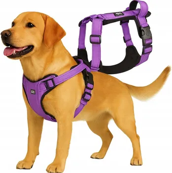 Postroj pro psa POSTROJ PRO PSA GUARD EASY WALK KOMFORTNÍ TRÉNINKOVÝ BEZPEČNÝ S RUKOJETÍ M