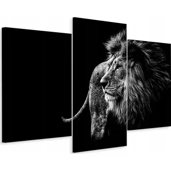 Obraz Obraz Triptych Majestátní LEV Zvíře 3D 60x40