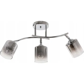 Stropní bodové svítidlo kulatý Agora stříbrné