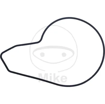 Automobilové těsnění Těsnění vodní pumpy ATHENA S410250024026