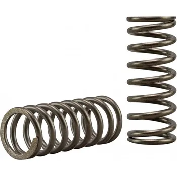 Spojka Sada spojkových pružin EBC CSK921 diaphragm type