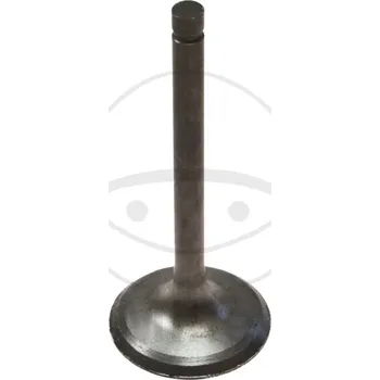 Ventil motoru Sací ventil JMT 747.03.13