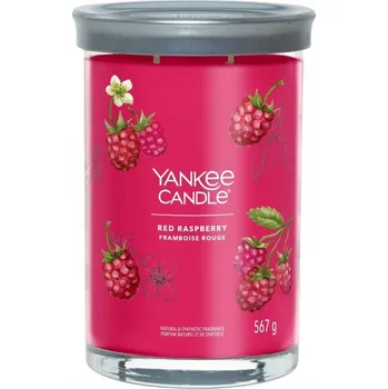 Svíčka Dekorativní sójová svíčka Red Raspberry Yankee Candle 1 ks