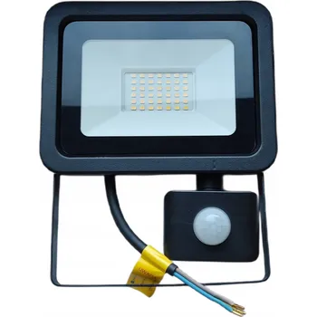 LED reflektor Eko-light s pohybovým senzorem 30W 6500K