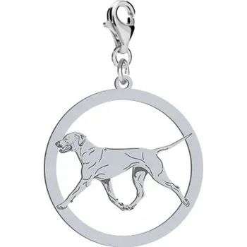 Přívěsek Stříbrný přívěsek Charms s rhodéským ridgebackem - MOŽNOST VLASTNÍHO VĚNOVÁNÍ