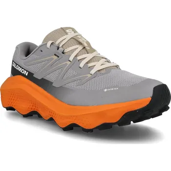 Dámská sportovní obuv Salomon Ultra Flow 2 GTX M L47884200 - gull turmeric/white pepper 40