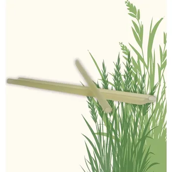 Přírodní jednorázová brčka z obilovin | Zkosená | 20 ks | Ø8 mm | 20 cm