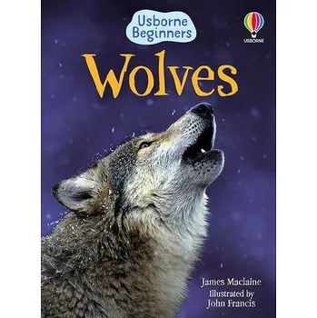 Cizí jazyk Usborne Wolves Kniha