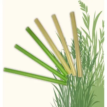 Přírodní jednorázová brčka z obilovin | Bubble Tea | 10 ks | Ø12 mm | 20 cm