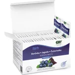 Green Ways Sušený prášek BIO borůvka…