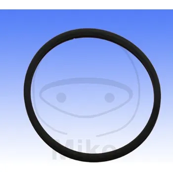 Automobilové těsnění Těsnění svodu výfuku ATHENA M753005400094 O-kroužek 54X54X3 mm