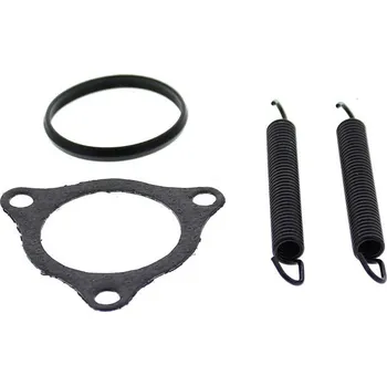 Těsnění motoru Těsnění svodu výfuku sada WINDEROSA EGK 823164