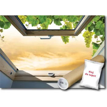 Fototapeta FOTOTAPETA STŘEŠNÍ OKNO 18A FL 152x104 F10395