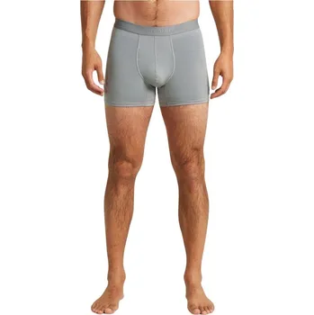 Pánská móda Pánské boxerky Icebreaker Merino 125 ZoneKnit Boxers Mens alloy M