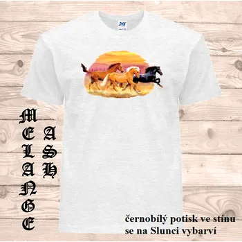 detske-bavlnene_tricko_uv_potisk_mustangove Barva: Heather grey - vřesově šedá, velikost: 164