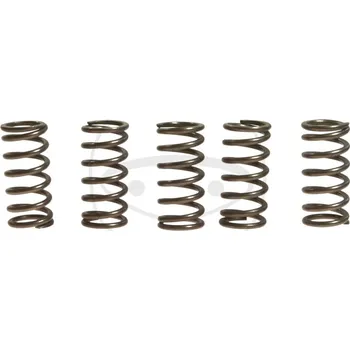 Spojka Sada spojkových pružin EBC CSK176 5