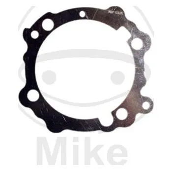 Automobilové těsnění Těsnění pod válec ATHENA S410110006068