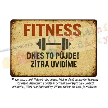 Plechová cedule Retro cedule - Sport 19 - Plast / A5 ( 20x15cm)