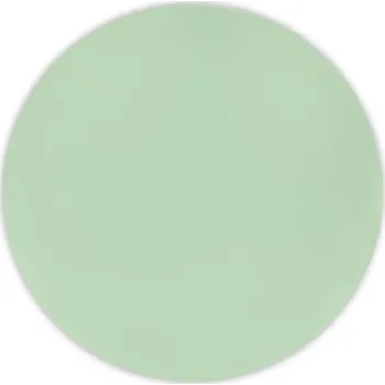 Talíř TALÍŘKY OPAKOVANĚ POUŽITELNÉ MINT PLASTOVÉ 25 CM