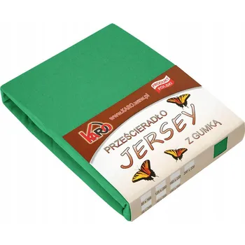 Prostěradlo Prostěradlo jersey s gumou 200x200 zelené KARO