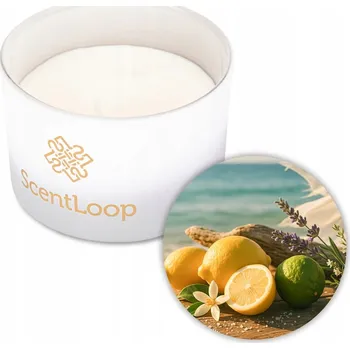 Svíčka Sójová svíčka Zimní ScentLoop Zanzibar 100g