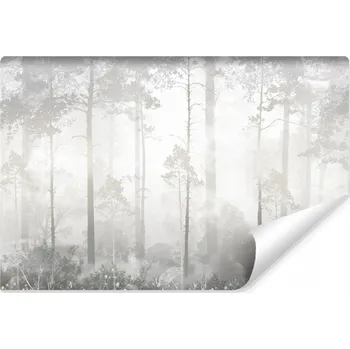 Fototapeta Fototapeta do ložnice Mlhavý les Krajina Příroda Stromy Abstrakce 300x210