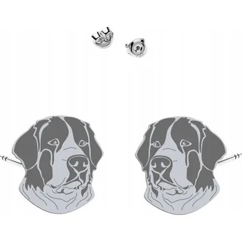 Náušnice Stříbrné Náušnice Landseer 925 Šperky Dárek Žena VĚNOVÁNÍ DÁREK