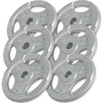 Gorilla Sport Sada zátěžových kotoučů 6 x 5 kg, litina