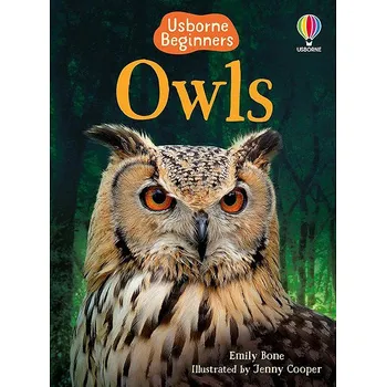 Cizí jazyk Usborne Owls Kniha