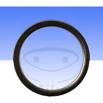 Autodíl Těsnění svodu výfuku ATHENA S410250012003 36.5X45X2 mm