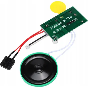 Příslušenství pro čtečku elektronické knihy HLASOVÝ MODUL PRO PŘÁNÍ, SNADNÉ POUŽITÍ, 30 SEKUND