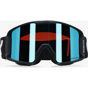 Sjezdové lyžování Lyžařské brýle Oakley Line Miner L - prizm snow sapphire irid