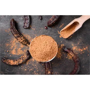 Pastry, s.r.o. KAROB v prášku 500g