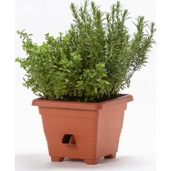 Květináč Červený plast Květináč Plastia 50 cm x 50 x 40 cm