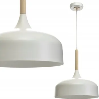 Závěsné svítidlo Milagro Taylor 1 -bodové světlo E27