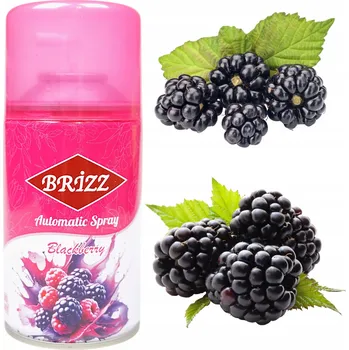 Osvěžovač vzduchu OSVĚŽOVAČ VZDUCHU OSTRUŽINA SPRAY NÁPLŇ VŮNĚ DO DÁVKOVAČE