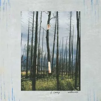 Zahraniční hudba LP S. Carey: Watercress 2025