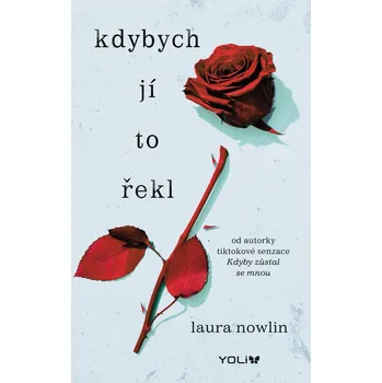Kniha Kdybych jí to řekl - Laura Nowlin (E-Kniha)