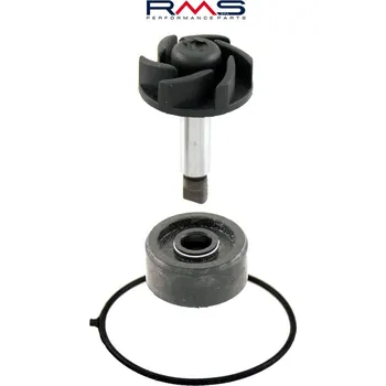 Automobilové těsnění Opravná sada vodní pumpy RMS 100110090