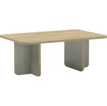 Marckeric Konferenční stolek Hillary 100 x 60 cm