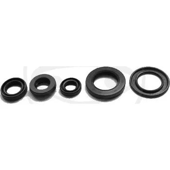 Automobilové těsnění Sada gufer motoru TOURMAX 735.93.67