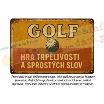 Plechová cedule Retro cedule - Sport 16 - Plast / A5 ( 20x15cm)