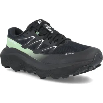 Pánská obuv Salomon Ultra Flow 2 GTX M L47981400 - black/black patina/green 45 1/3