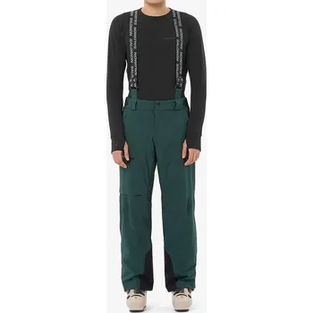 Snowboardové kalhoty Lyžařské kalhoty Salomon Brilliant Pant - green gables