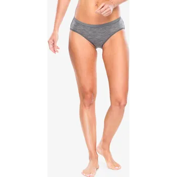 Dámské spodní prádlo Dámské funkční kalhotky Icebreaker Siren Hipkini - grit