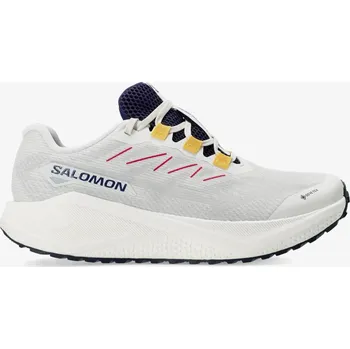 Pánská běžecká obuv Běžecké boty pánské Salomon Aero Blaze 3 Grvl GTX - vanila/astral