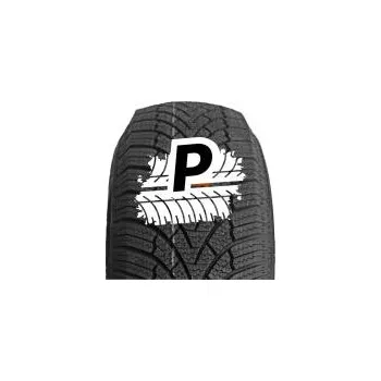 Zimní osobní pneu ZMAX WINTERHAWKE I 255/35 R19 96V XL M+S