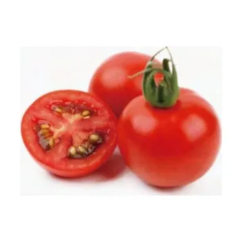 Semeno Rajče tyčkové HTO 2269 F1 (koktejlové, kulovité, odolné plísni)