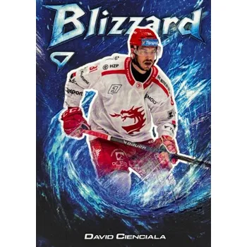 Karetní hra insert karta DAVID CIENCIALA 25-26 SZ ELH Ser. 1 Blizzard číslo BL-24